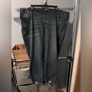 Terra&sky women’s jeans 3x 24/26 EUC